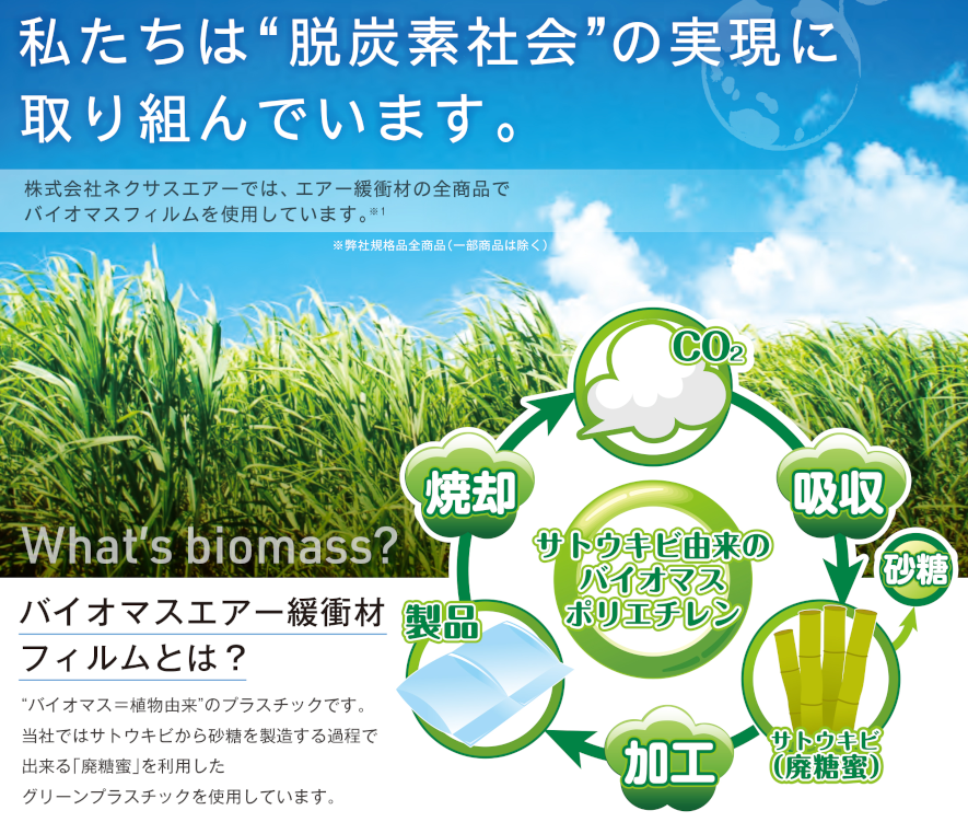 210728CenterBio.png